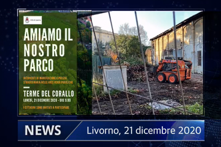 immagine della locandina 