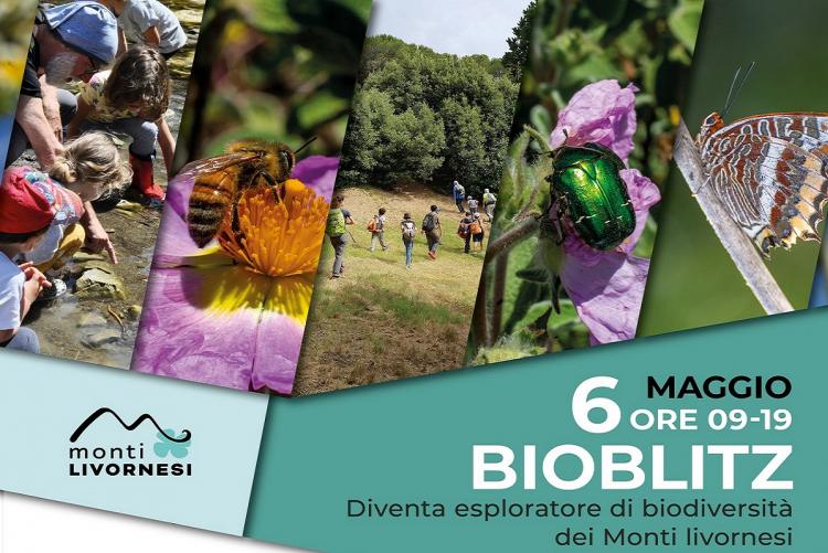 Immagine tratta dalla locandina dell'iniziativa
