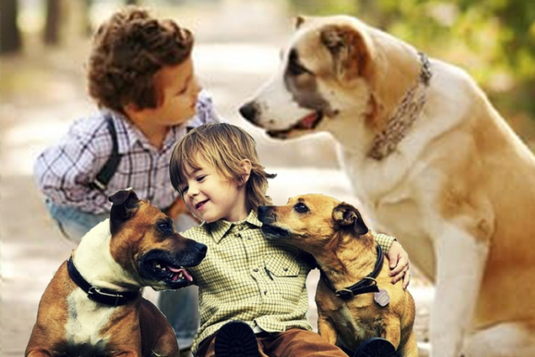 foto di bambini con cani