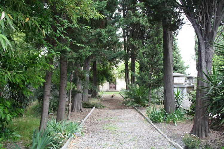Viale del Cimitero greco-ortodosso - Foto di Piergiuliano Chesi da Wikipedia