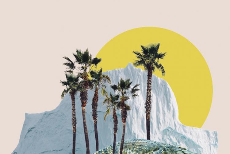 copertina del libro di Antonello Provenzale "Coccodrilli al Polo Nord e ghiacci all'Equatore"