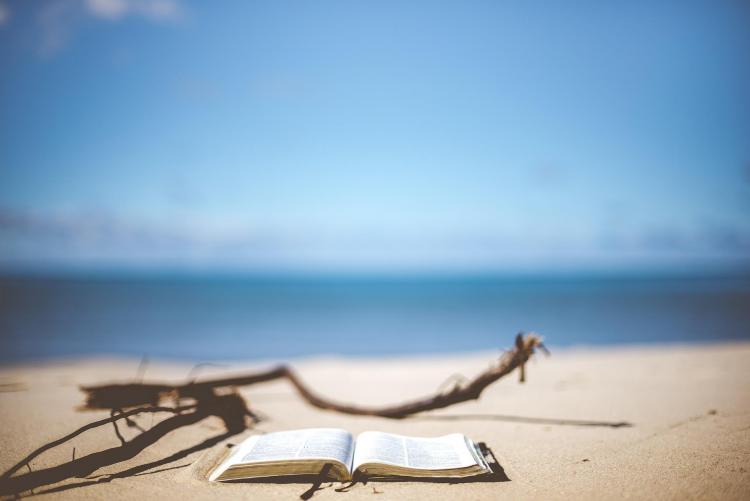 Foto di Pexels da Pixabay