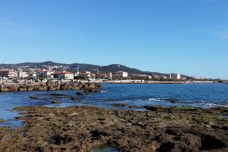 immagine del mare di Livorno