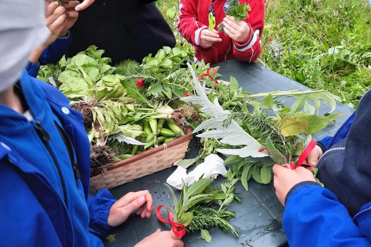 Bambini al lavoro per l'Orto in Condotta