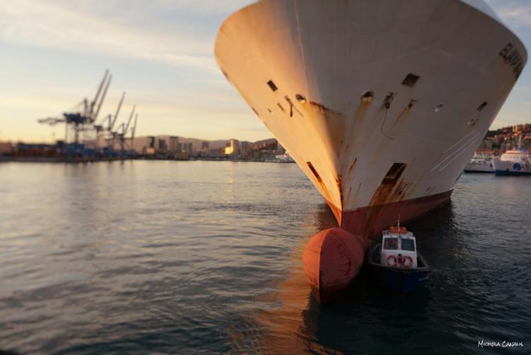 porto (foto generica tratta dal sito Autorità di Sistema Portuale del Mar Tirreno Settentrionale)