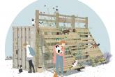 Disegno del progetto nuova colonia felina